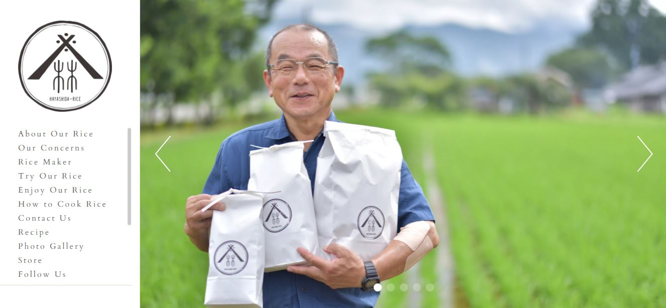 ecommerce website ecommerce website